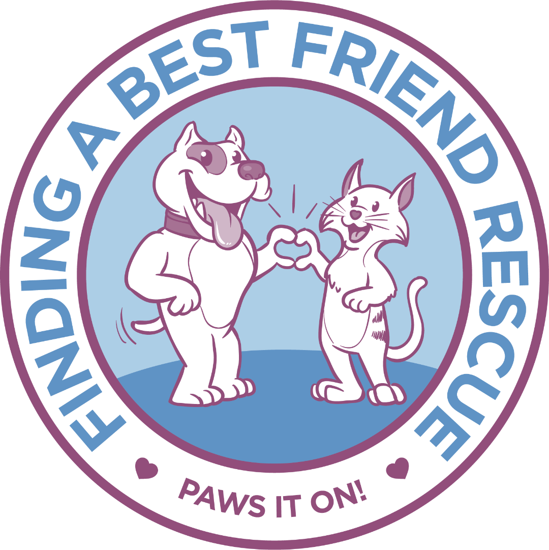 Finding A Best Friend  Ruff Life Rescue Wear