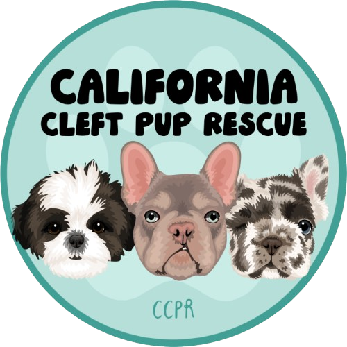 California Cleft Pup Rescue and Texas Cleft Pup Rescue | Ruff Life ...