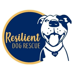 Resilient Dog Resuce