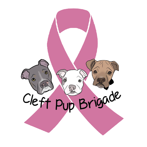 Cleft Pup Brigade Cancer Awareness Sponge Fleece Pullover Hoodie - Ruff Life Rescue Wear