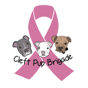 Cleft Pup Brigade Cancer Awareness Sponge Fleece Pullover Hoodie - Ruff Life Rescue Wear