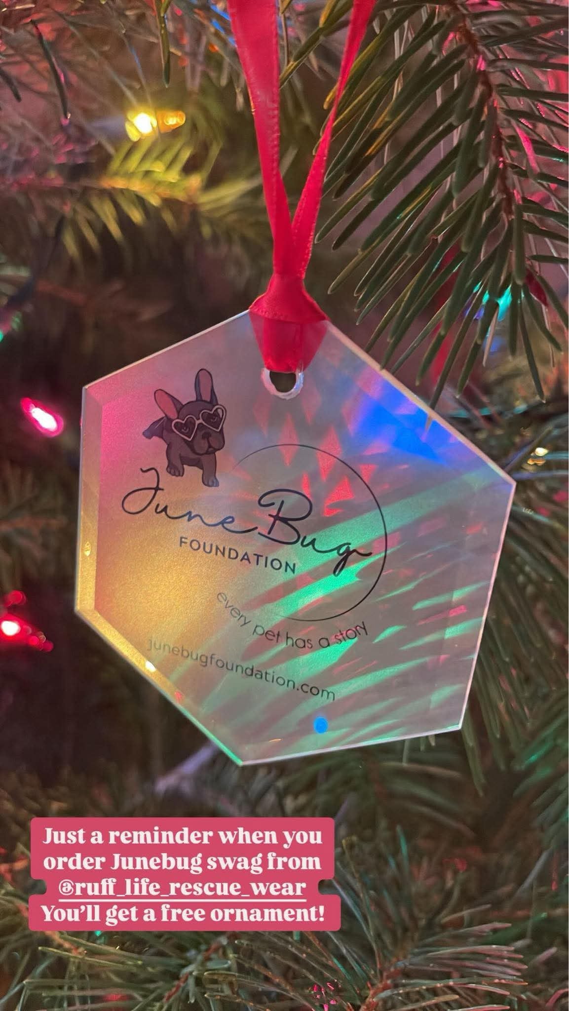 June Bug Glass Ornament (Free with purchase just add to cart)