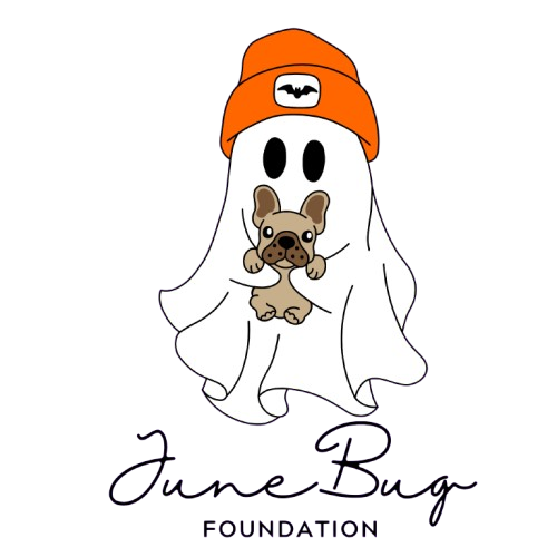 👻 June Bug Foundation Halloween Tee