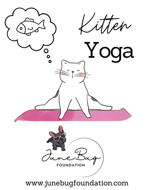 June Bug Kitten Yoga TANK (Available in many colors)