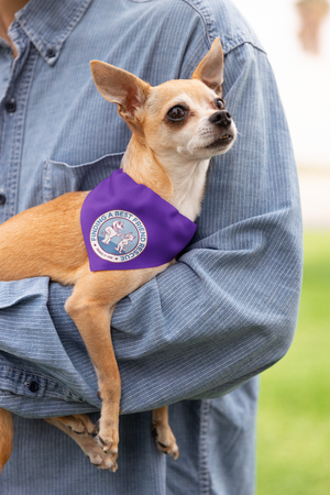 Finding A Best Friend Doggie Bandana - Ruff Life Rescue Wear