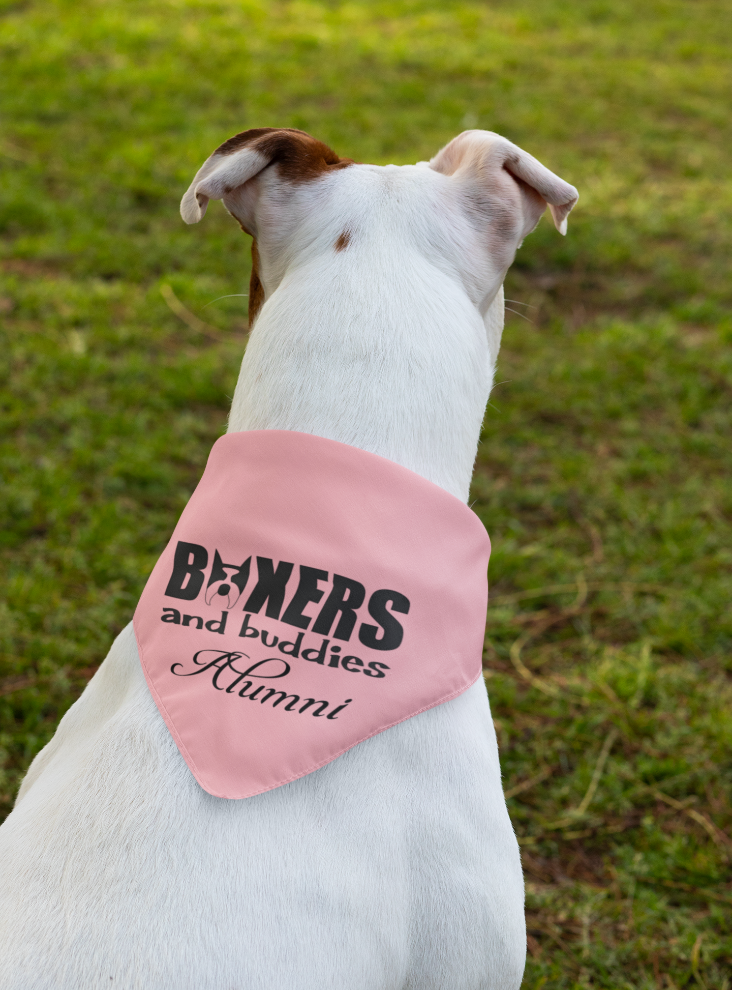 Boxers and Buddies Doggie Bandana (available in several colors)