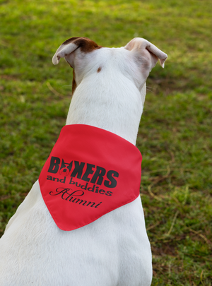 Boxers and Buddies Doggie Bandana (available in several colors)