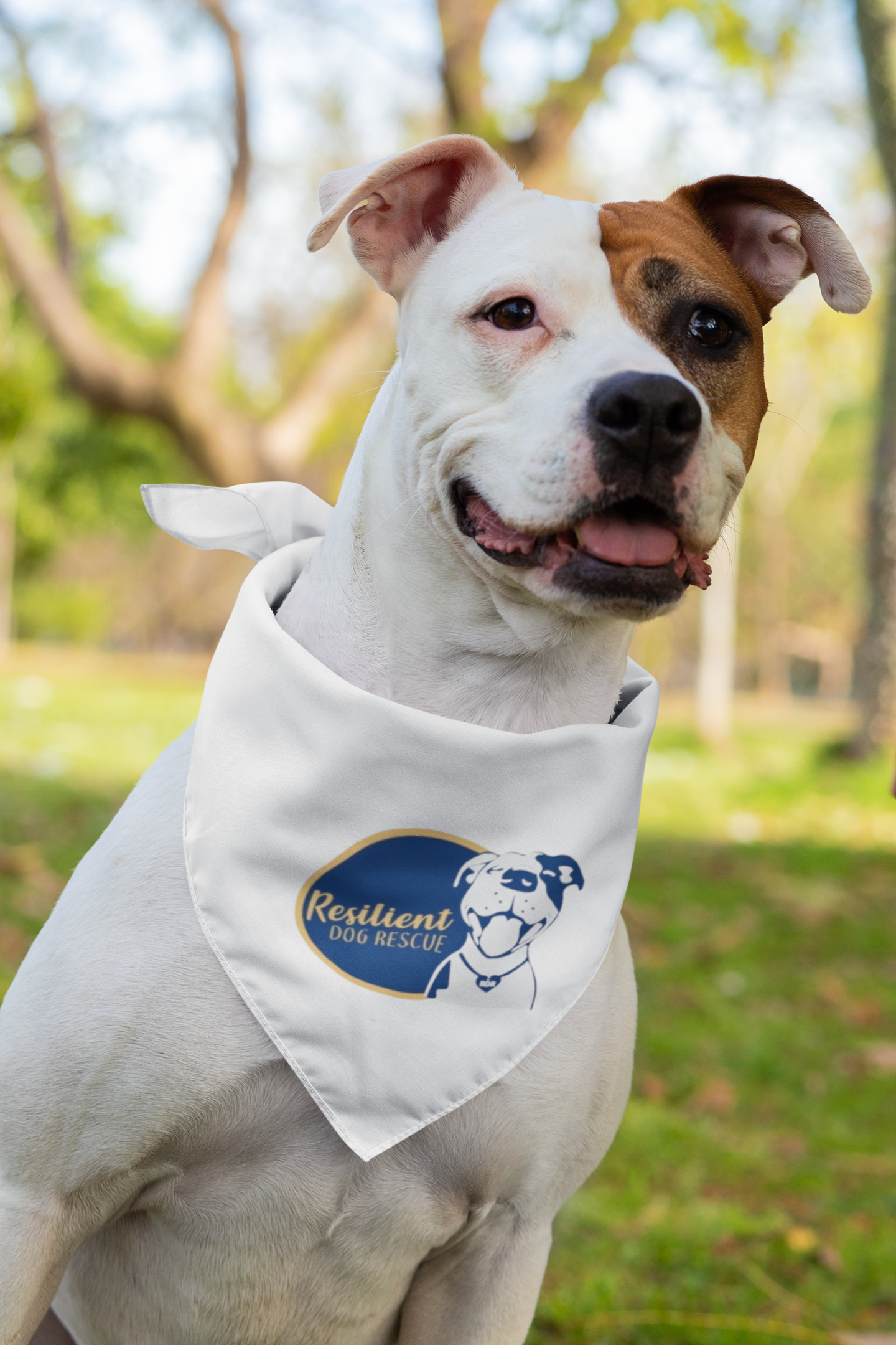 Resilient Doggie Bandana (available in several colors)