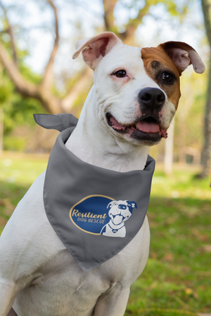 Resilient Doggie Bandana (available in several colors)