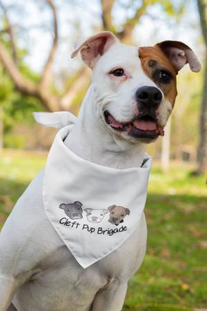Cleft Pup Brigade Doggie Bandana (available in several designs and colors)