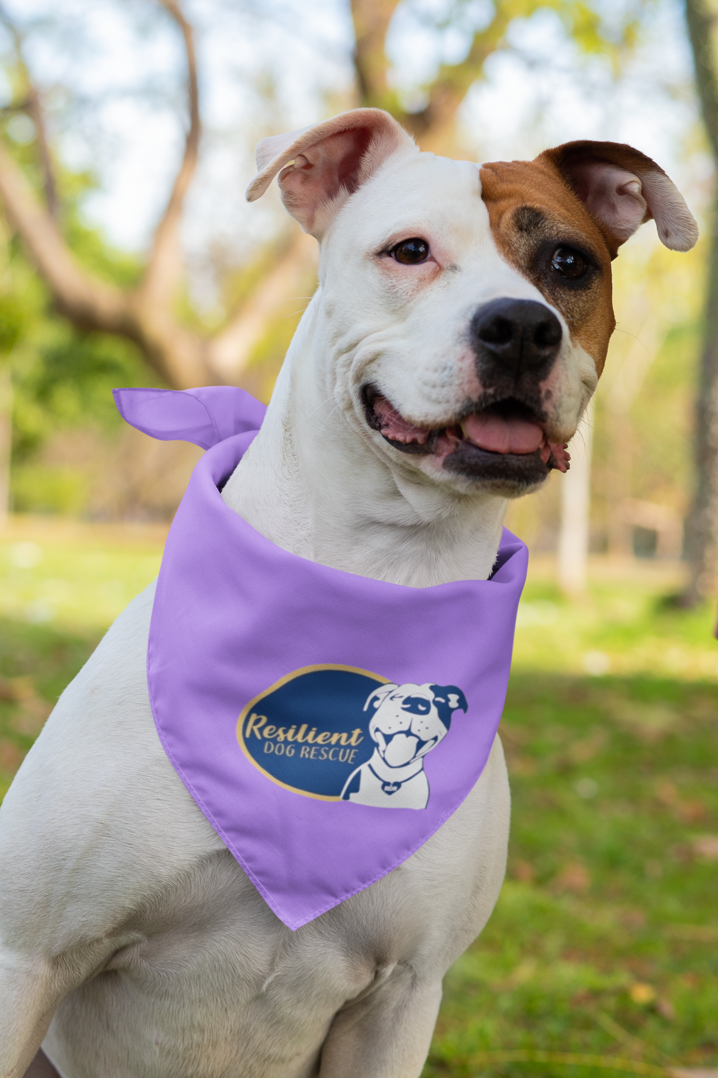 Resilient Doggie Bandana (available in several colors)