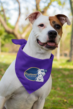 Resilient Doggie Bandana (available in several colors)