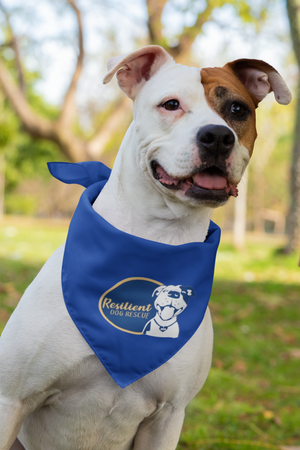 Resilient Doggie Bandana (available in several colors)