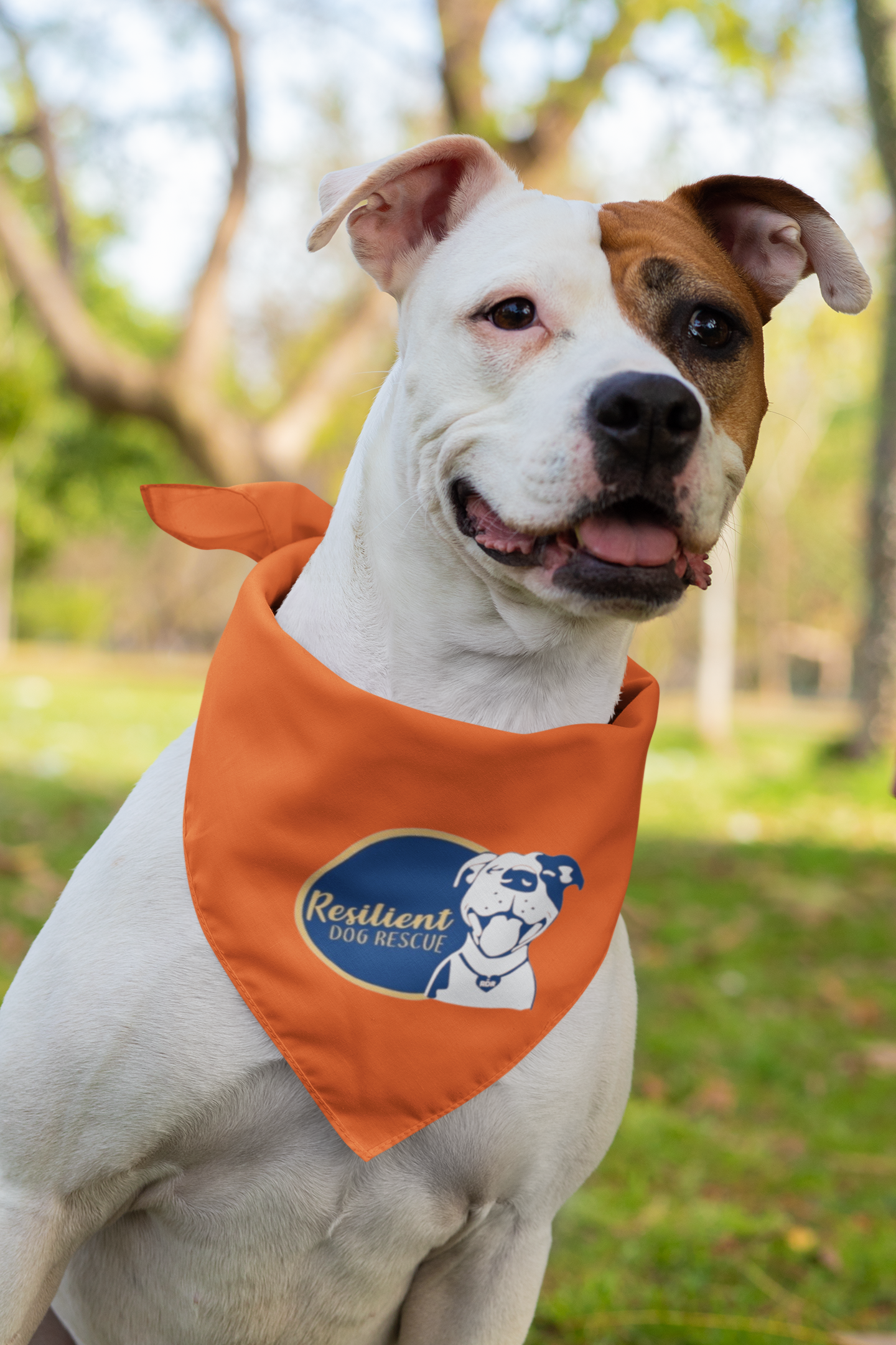 Resilient Doggie Bandana (available in several colors)