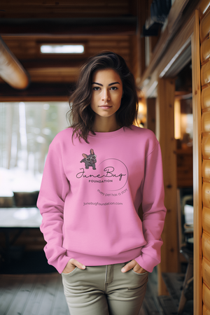 June Bug Sweatshirts (Available in several colors)