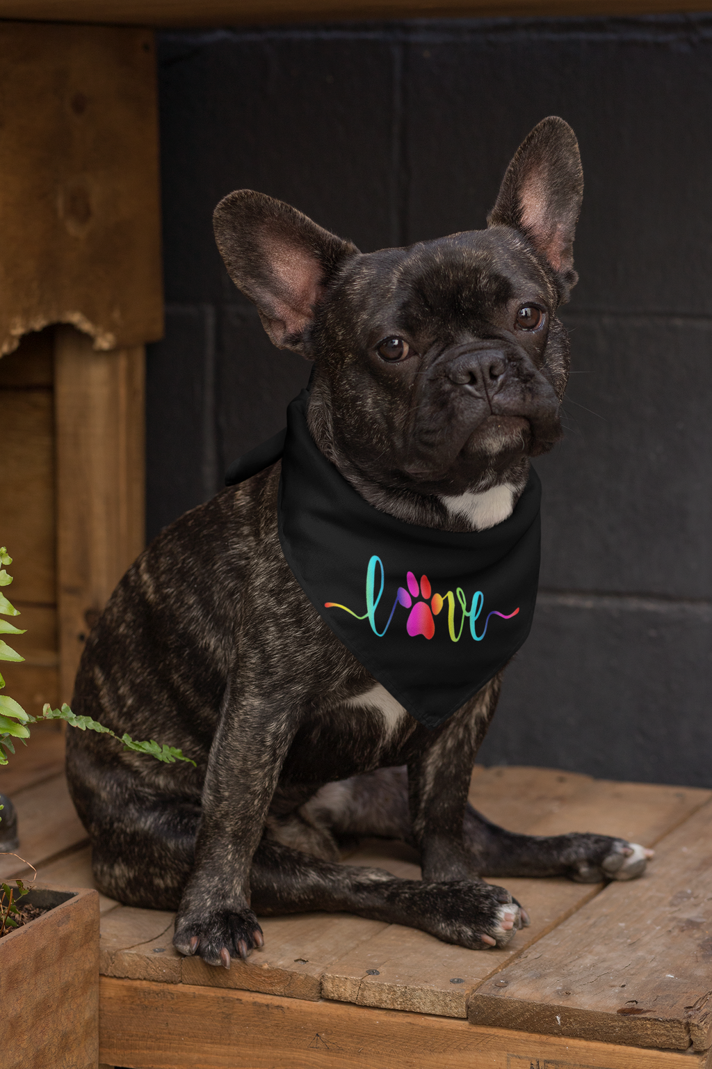 Love Bandana - Ruff Life Rescue Wear