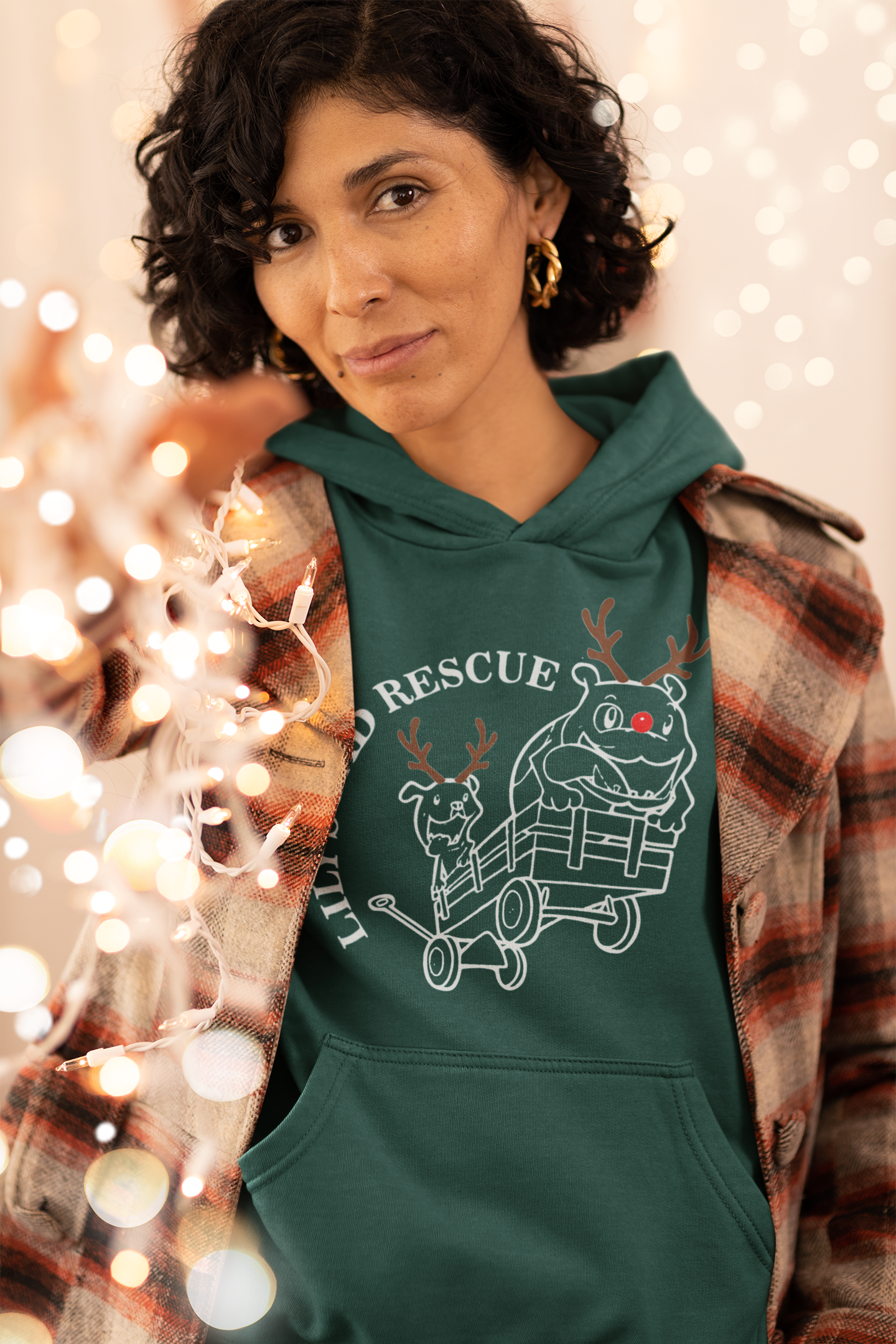 Lily's Christmas Hoodies (Available in several colors)